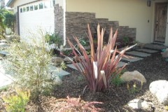 Drought-Tolerant-Landscape-Installation-in-Newport-Beach